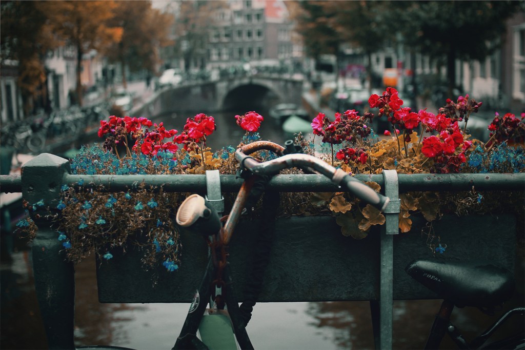 PEF Conference Amsterdam